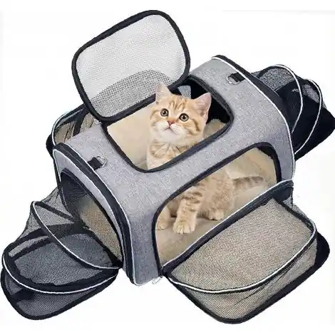 Préféré des clients - Sac de Transport pour Chat Extensible 4 Côtés, Approuvé Compagnie Aérienne - pour Chats & Petits Chiens, Voiture/Avion/Train, Pliant,