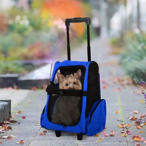 Prix choc - Sac à dos transport 2‑en‑1 pour chien et chat, poches latérales, poignée télescopique roulettes, 42×25×55 cm bleu clair