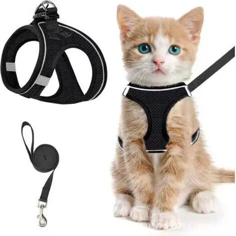 Réduction spéciale | Harnais pour chat avec laisse, harnais respirant pour chaton et bande réfléchissante, collier réglable pour petit chien, facile à mettre, pour chiot persan, ragdoll, american shorthair, lapin