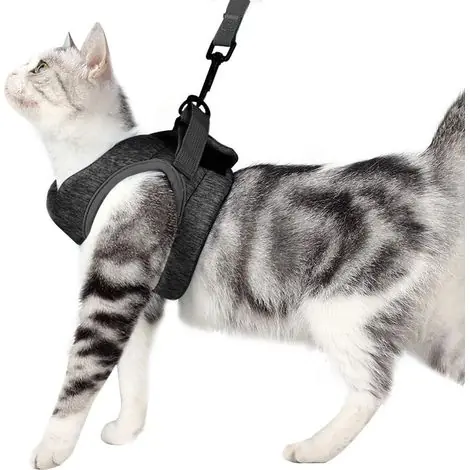 Excellente qualité | Harnais et Laisse pour Chat Ultra-léger Col Chaton Doux et Confortable Veste de Marche pour Chat Course à Pied,Antifuite Convient pour Chiots Lapins (Gris,M) GROOFOO