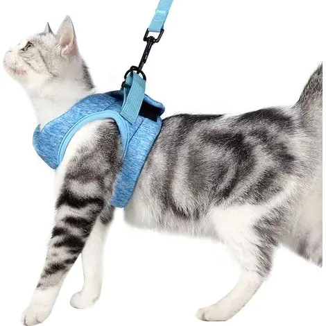 Laisse de chat, laisse de chat attachée, gilet de sangle de chat, chaîne de corde de chien anti-casse,XL - Nouveau en boutique