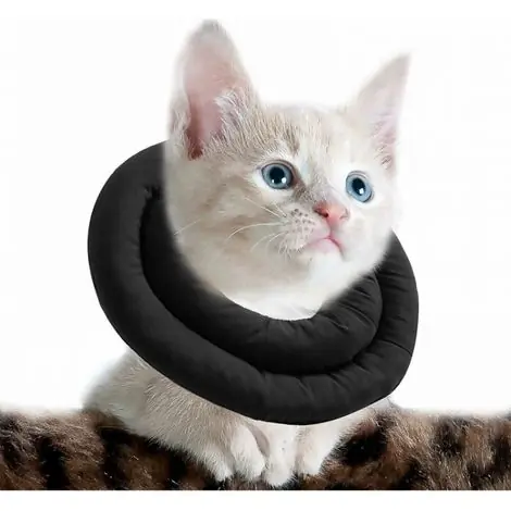 Cyslmuk – Collier de récupération doux pour chat – Réglable et lavable – Confort optimal après chirurgie – Taille M (30cm) - Commandez en ligne