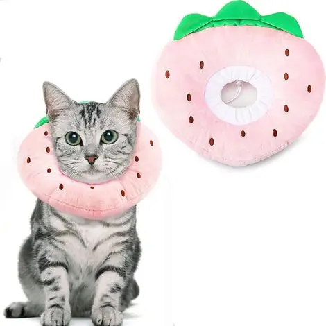 Collerettes pour Chats Chiens Collier de Protection Confort Ajustable Collerette de Postopératoire Récupération Anti-Morsure Protection (Fraises, M) - Qualité professionnelle