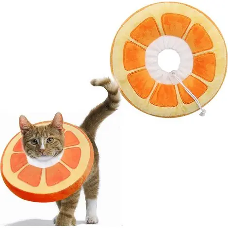 Achat sécurisé - Collerettes pour Chats Chiens Collier de Protection Confort Ajustable Collerette de Postopératoire Récupération Anti-Morsure Protection (Orange, M)