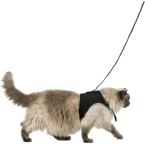 Harnais soft XXL avec laisse pour grand chat - animallparadise - Qualité premium