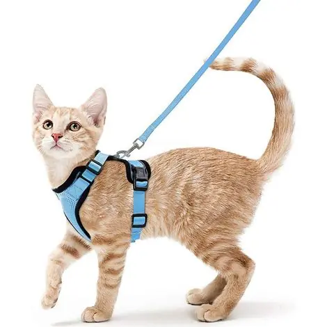 Harnais pour chat avec laisse, Ensemble harnais et laisse pour chat, Harnais réglable pour chaton, Collier harnais pour chat, Gilet respirant, Pour chats européens à poil court et persans (bleu ciel, | Disponible maintenant