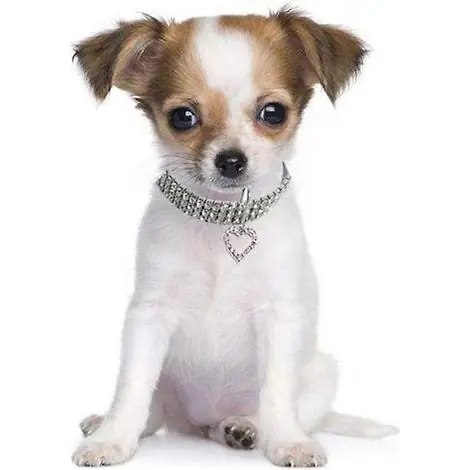 Collier pour animal de compagnie en tissu avec pendentif en forme de cœur et breloque (1 pièce) - Direct fabricant