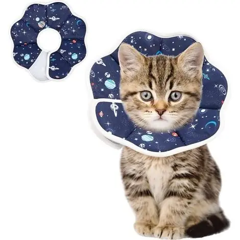 (bleu)Collerette pour Chat - Ajustable - Anti-Morsure - Protection - Récupération - Taille S - Commandez maintenant