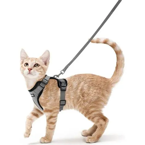 Offre bientôt terminée | Harnais Chat Petit Chien Laisse Harnais Chaton Réglable Gris XS Collier Harnai Chat Refléchissant Gilet Respirant pour Lapin, Chat Européen, Maine Coon, Persan, Attache Dessus avec Laisse