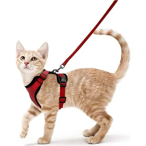 Prix mini - Harnais Chat Petit Chien Laisse Harnais Chaton Réglable Rouge Collier Harnai Chat Refléchissant Gilet Respirant pour Lapin, Chat Européen, Maine Coon, Persan, Attache Dessus avec Laisse（XS -rouge--TRI