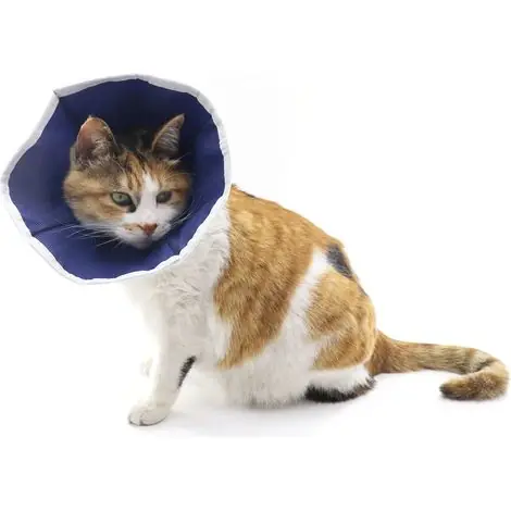 Collier de récupération souple pour chats, collier conique pour chat - Stock limité