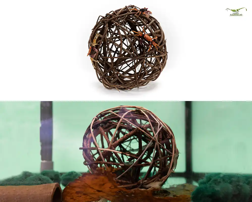 Climbing Ball pour terrarium & aquarium | Quantité limitée