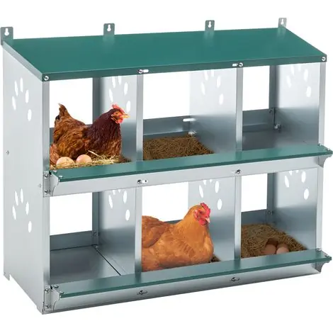 Très populaire | Minkurow – Pondoir à poules 6 nids en acier galvanisé – Fond incliné à 86° pour collecte facile – Résistant aux intempéries et coups de bec