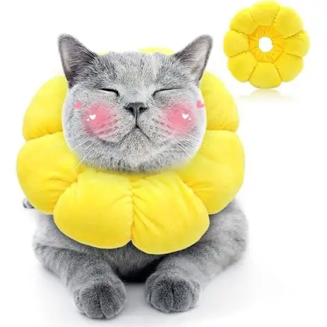 Collier de chat réglable, collier anti-léchage, collier de protection pour chat post-chirurgie, collier de récupération pour animaux de compagnie, convient à un tour de tête de 11 à 24 cm(S) - Disponible